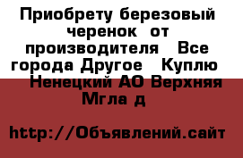 Приобрету березовый черенок  от производителя - Все города Другое » Куплю   . Ненецкий АО,Верхняя Мгла д.